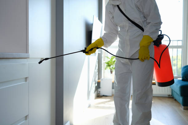 Best HVAC Mold Remediation in El Reno, OK