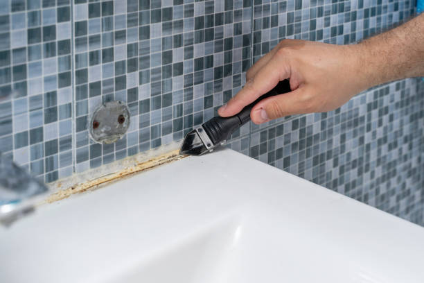 Best Black Mold Remediation in El Reno, OK